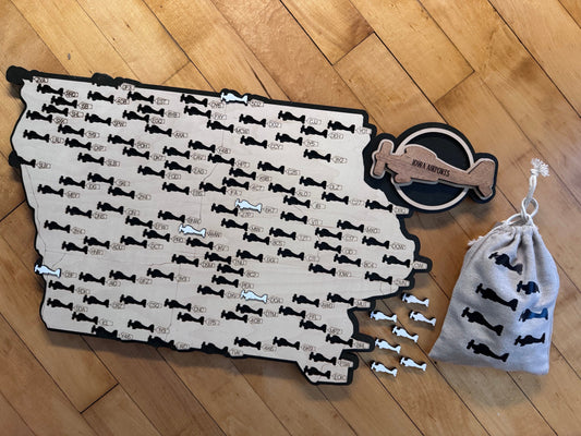 Iowa Public Airports Travel Map