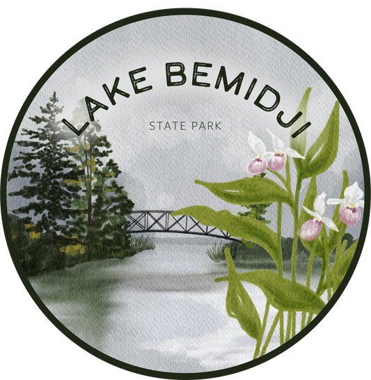 Lake Bemidji State Park